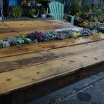DIY Pallet Succulent Table