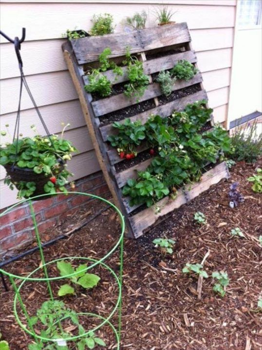 DIY Vertical Pallet Vegetable Garden