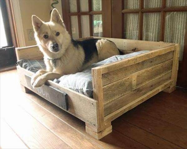 11 Diy Pallet Dog Bed Ideas