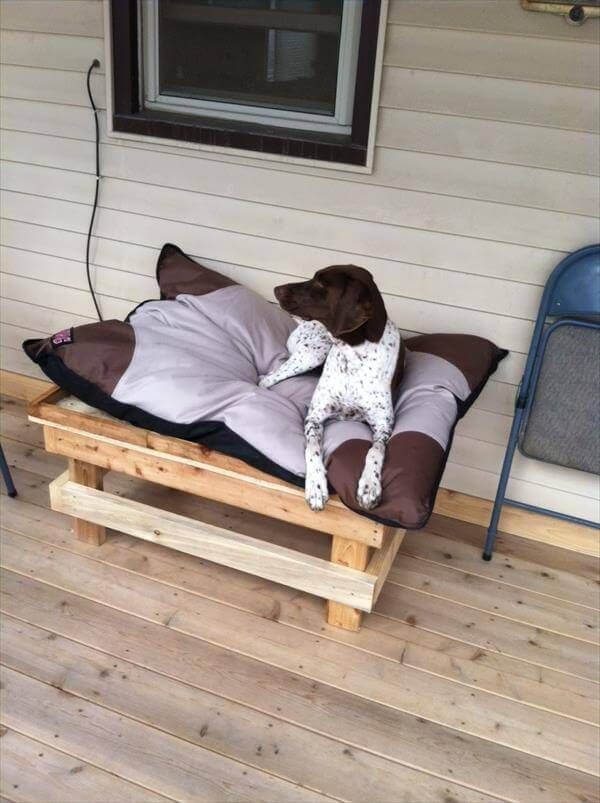 Diy: How To Build A Pallet Dog Bed