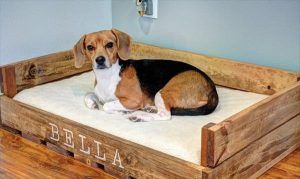 Pallet Dog Bed