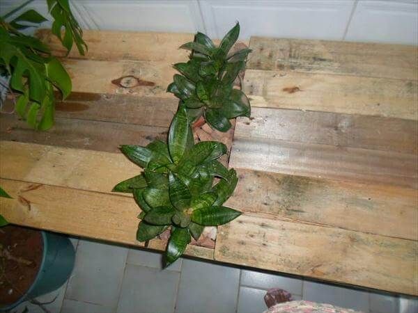 reclaimed pallet table with planter