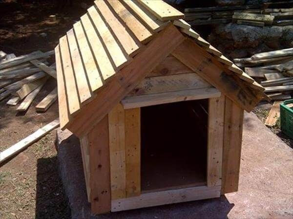 recycled pallet chevron doghouse