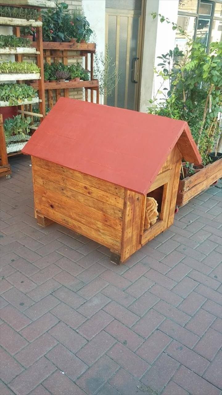 recycled pallet doghouse