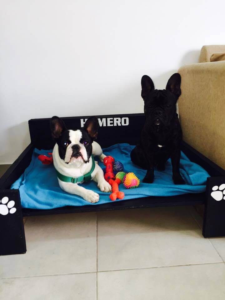 Reclaimed pallet dog beds