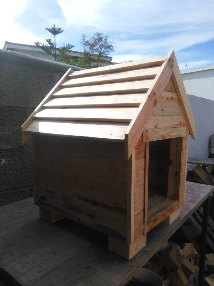 pallet doghouse with shingled chevron top