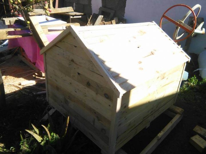 Pallets Wood Dog House