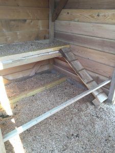 Pallet Chicken Coop - Easy to Do with Pallets