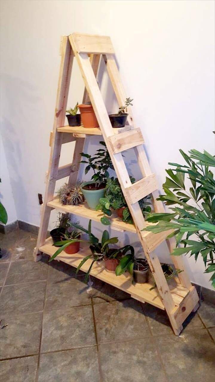 Recycled pallet ladder shelf