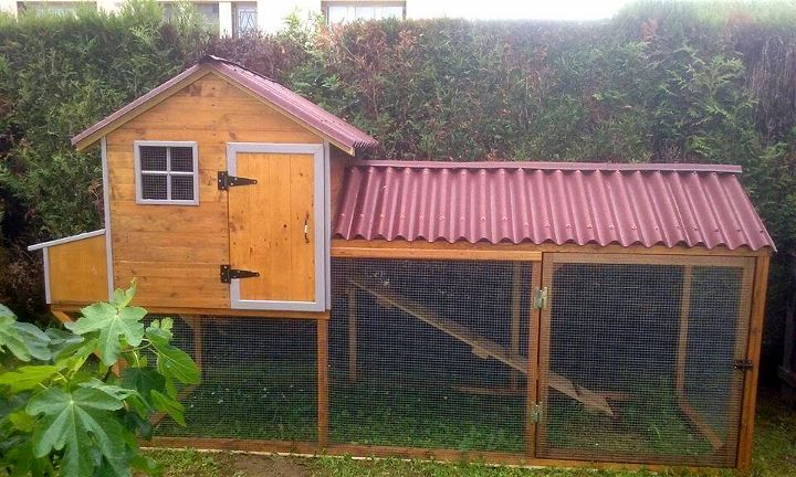 handcrafted bungalow style pallet chicken coop
