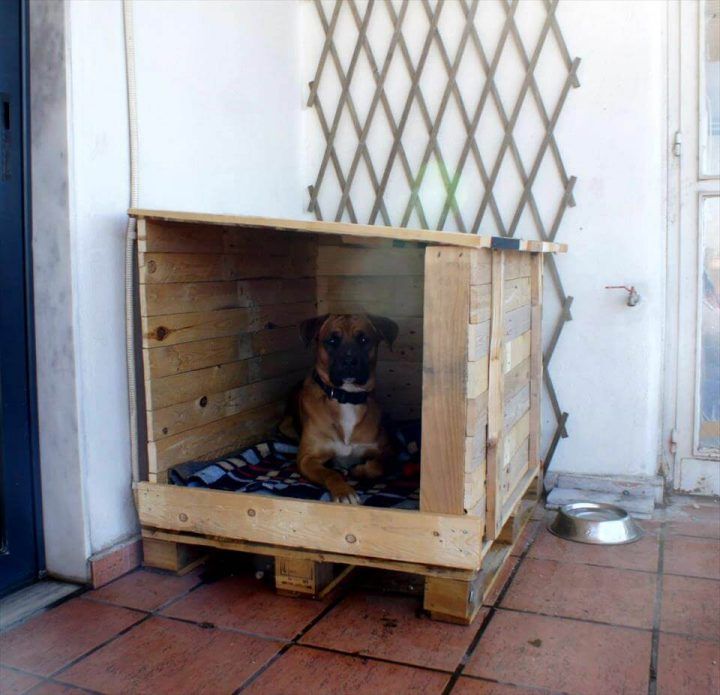 Cute Pallet Dog House