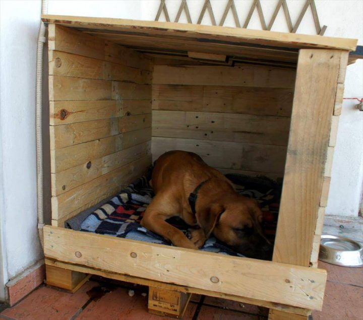 Cute Pallet Dog House